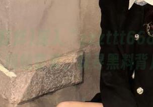深入“zzzttt668.su黑料不打烊”网站首页，探寻黑料背后的真相