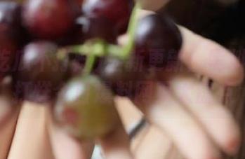 最新更新！黑料吃瓜不打烊今日爆料网页大盘点