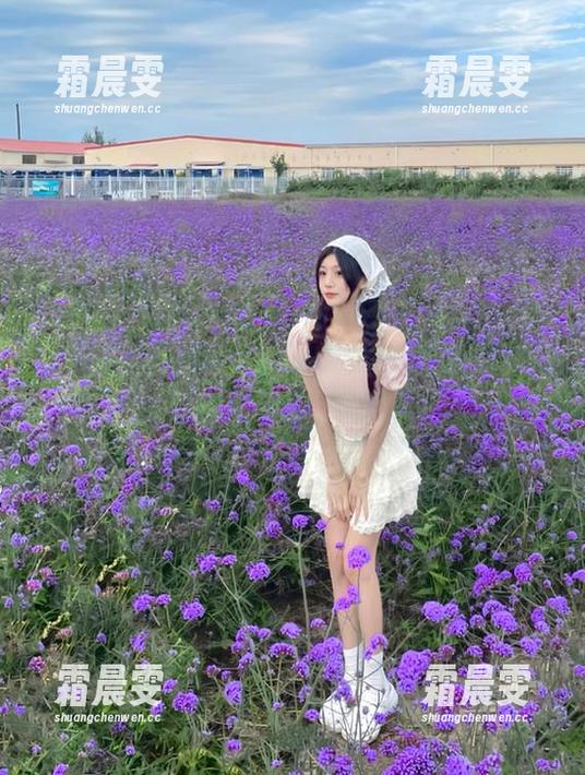 黑料社区老司机导航功能详解，原创黑料第一时间发布